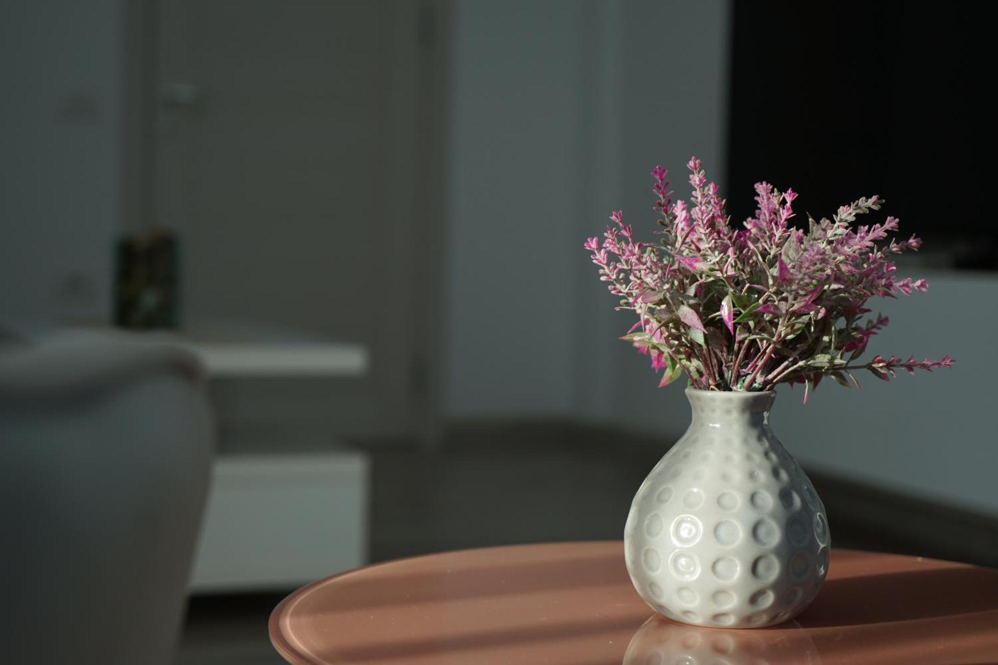 Apartment Mirandis - Comfort & Private Parking Near Coresi Mall